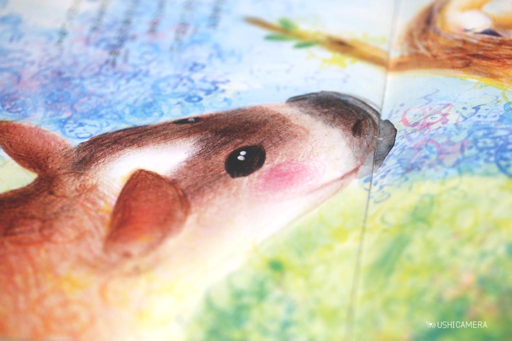 牛絵本コレクション 47 あんこちゃんのはね 中島真理 Ushicamera 牛写真家 高田千鶴 ホームページ 全国牧場ガイド を目指し 愛らしい牛たちと牧場をご紹介しています