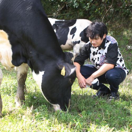 須藤牧場｜千葉県館山市のホルスタイン牛