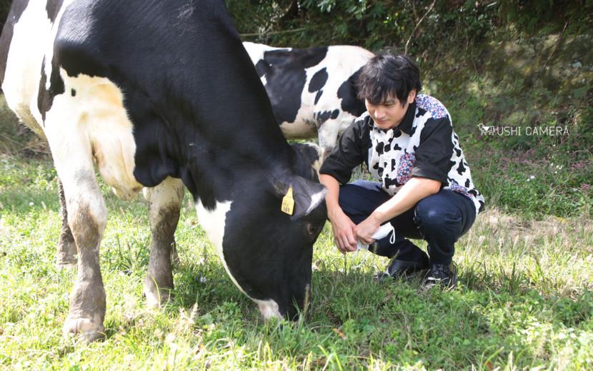 須藤牧場｜千葉県館山市のホルスタイン牛