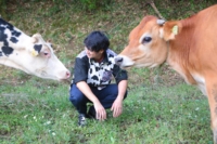 須藤牧場｜千葉県館山市のジャージー牛