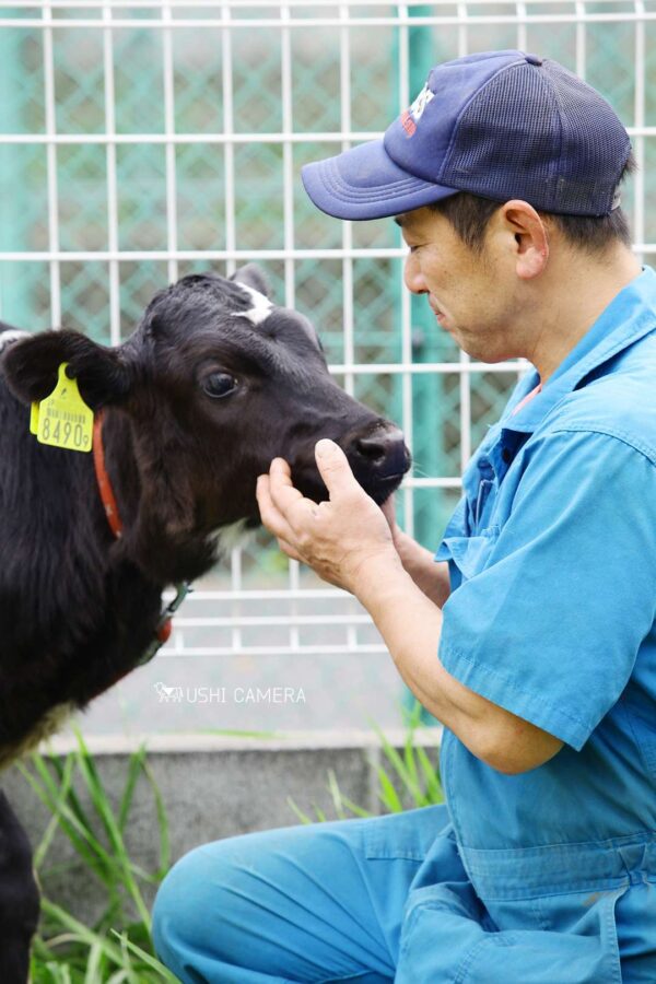 小泉牧場の三代目、小泉勝さん|小泉牧場(東京都練馬区) 小泉牧場の三代目、小泉勝さん|小泉牧場(東京都練馬区)