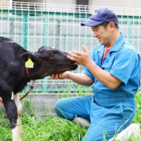 子牛と触れ合う勝さん｜小泉牧場（東京都練馬区）